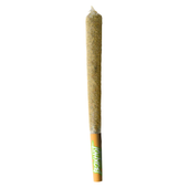 Dusties XL Retro Orange Blast Kief-Coated Infused Pre-Roll