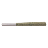 Indica (Pink Kush) Pre-Roll
